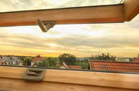 rated Prenderguest roof window companies
